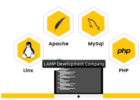 LAMP Web Development