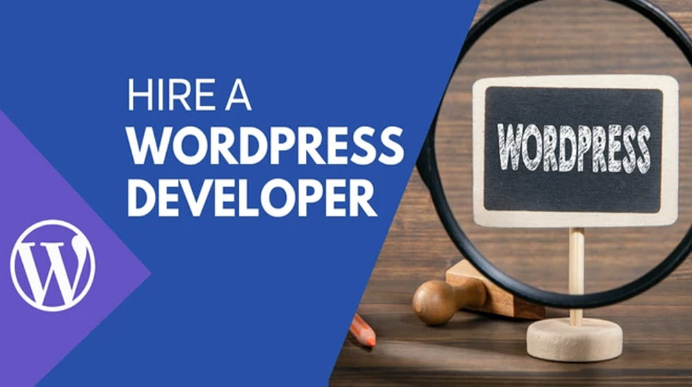 Hire a WordPress Developer